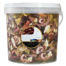 Wholesale Renna Case Octopus Salad In Sunflower Oil- Bulk