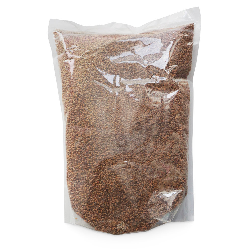 Wholesale BoxNCase Case Hard Red Wheat Berries- Bulk
