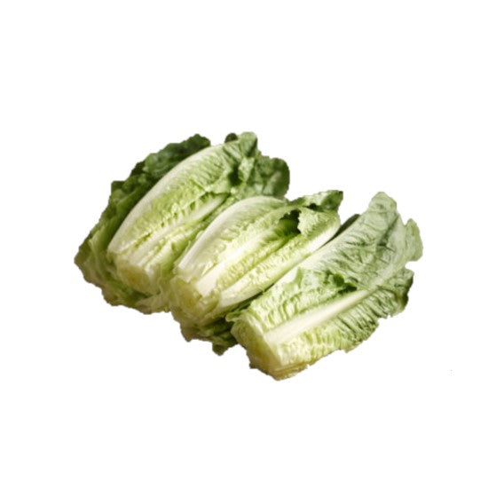 Wholesale BoxNCase Case Romaine Hearts Bulk- Bulk