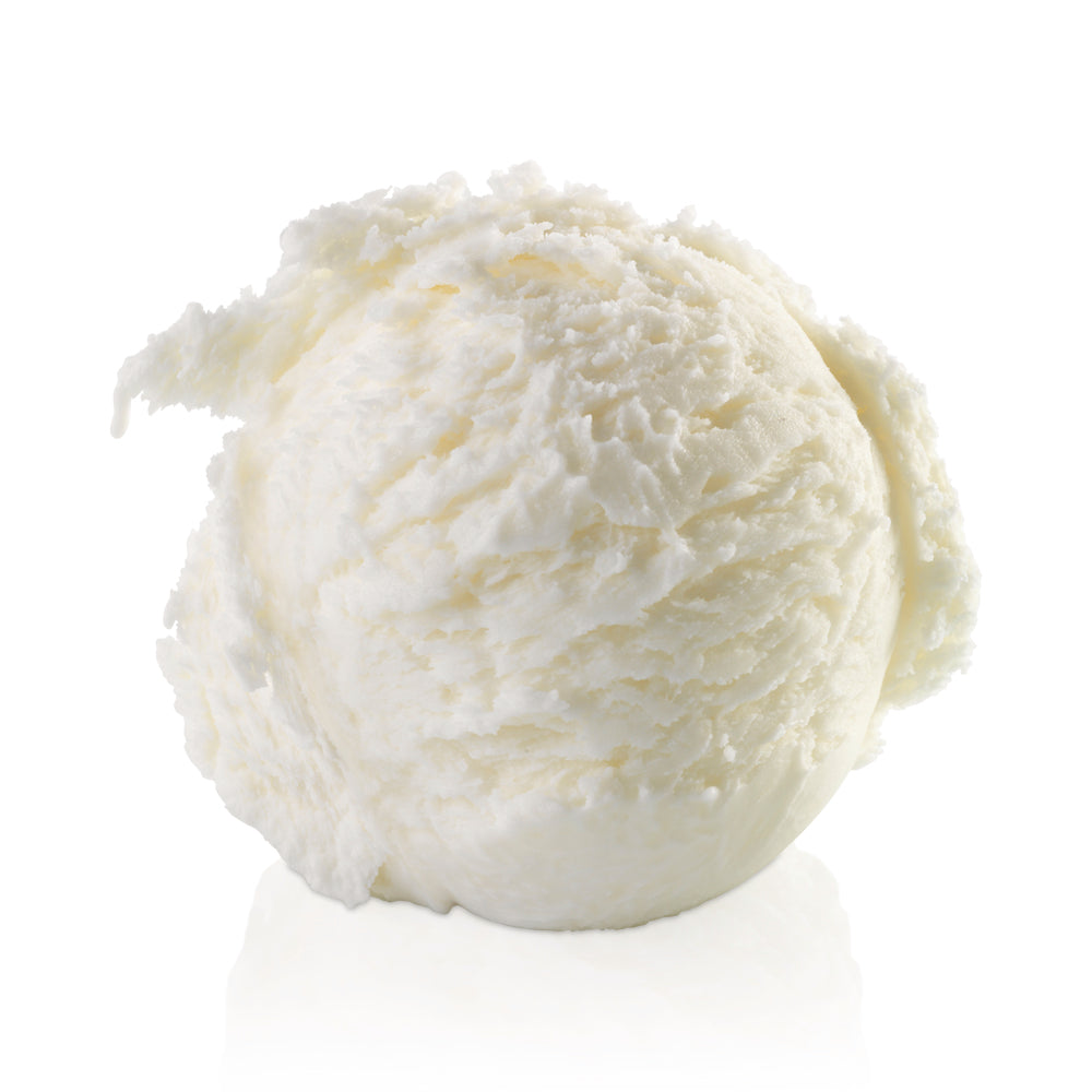 Wholesale Gelarto Vegan Coconut Gelato | 5 lt- Bulk