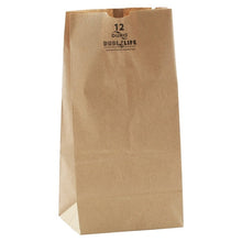 Wholesale Duro Case Brown Paper Bag #12- Bulk