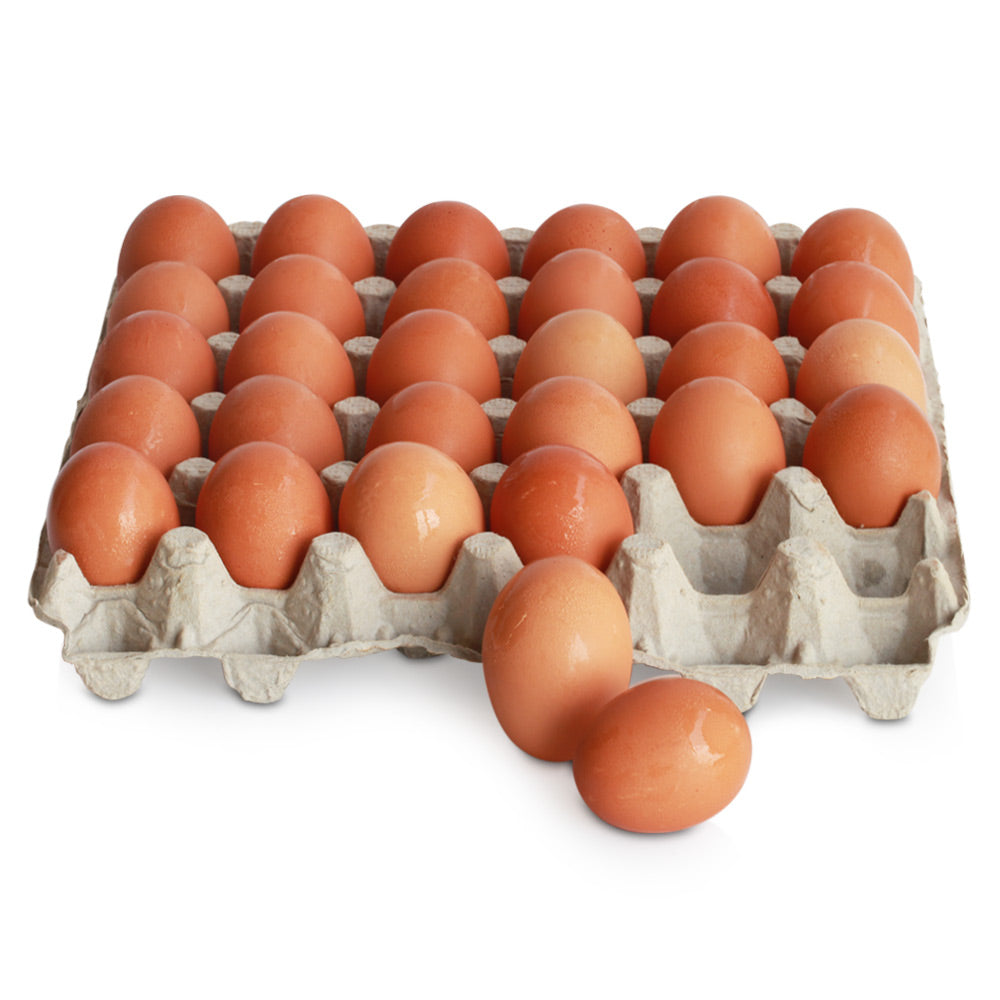 Wholesale Puglisi Case Extra Large Cage Free Brown Eggs Loose 15Dz- Bulk