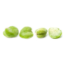 Wholesale White Toque Each Peeled French White Fava Beans- Bulk