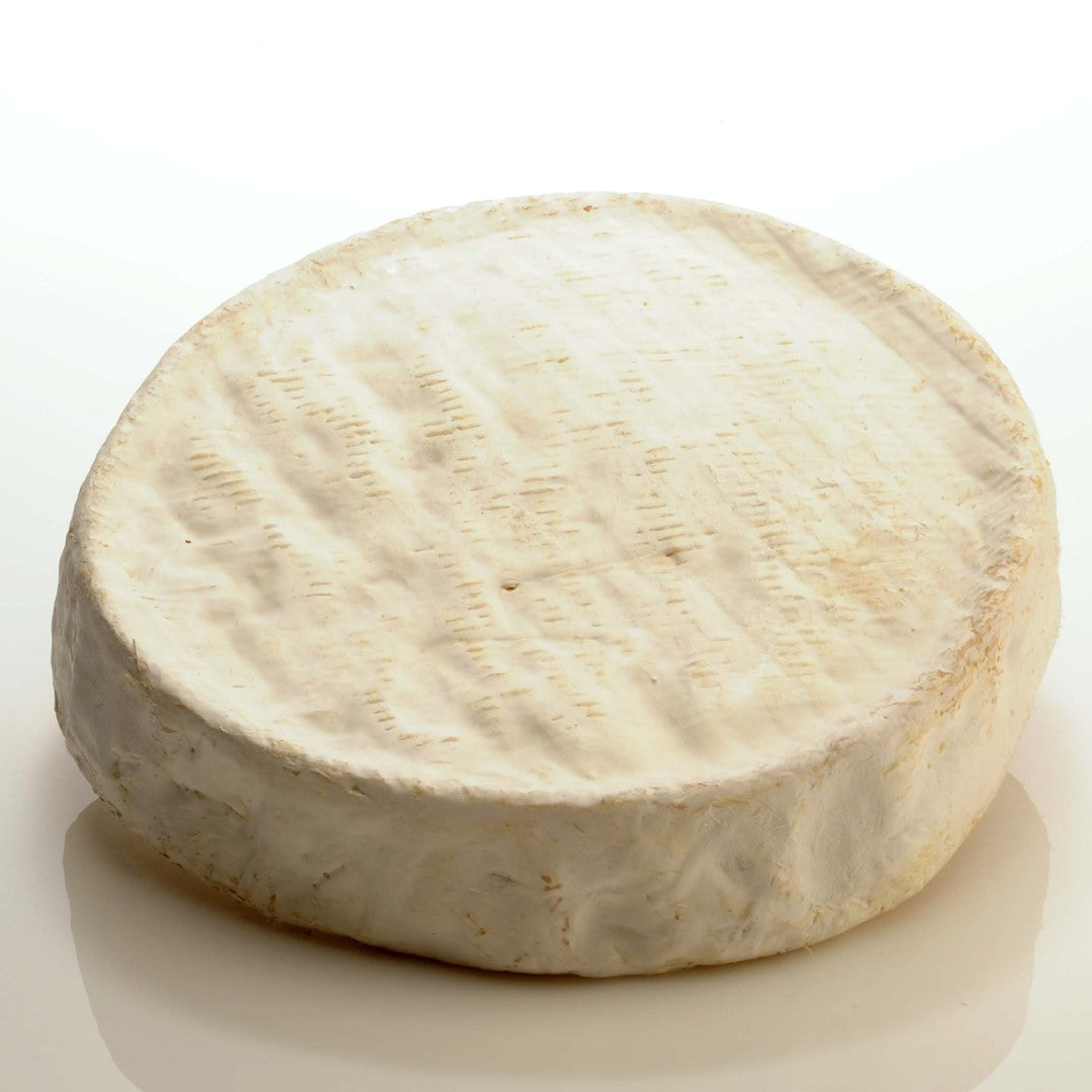 Wholesale Guffanti Scimudin- Bulk