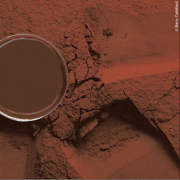 Wholesale Bensdorp Red 22-24% Cocoa Powder 50lb- Bulk