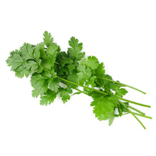 Wholesale BoxNCase Cut & Clean Cilantro | 2.5 lb- Bulk