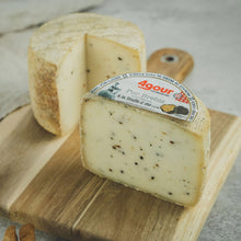 Wholesale Agour Sheep W/ Truffle 4.5K- Bulk