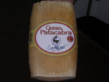 Wholesale Patacabra (P)- Bulk
