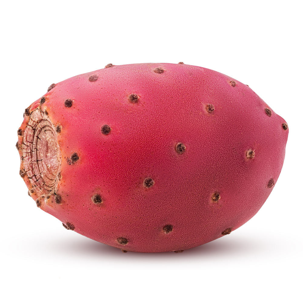 Wholesale BoxNCase Case Cactus Pear- Bulk