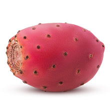 Wholesale BoxNCase Case Cactus Pear- Bulk