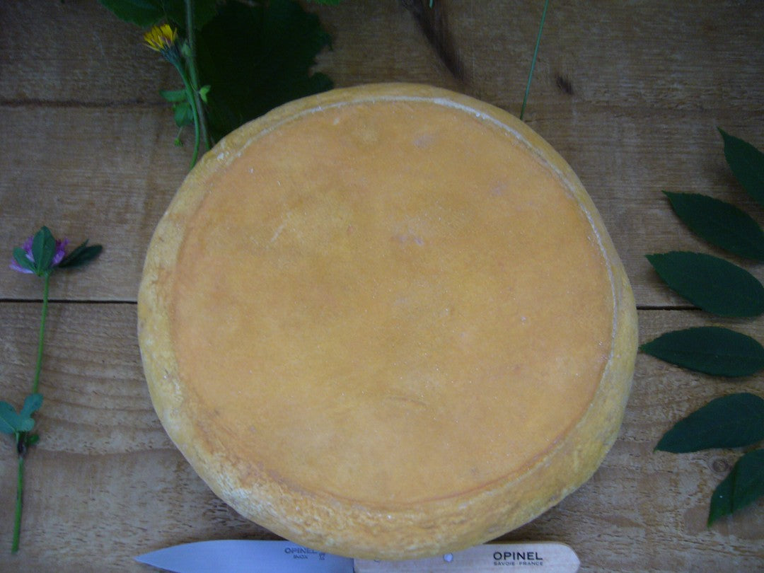 Wholesale Paccard Tamie De Savoie 3.3#- Bulk