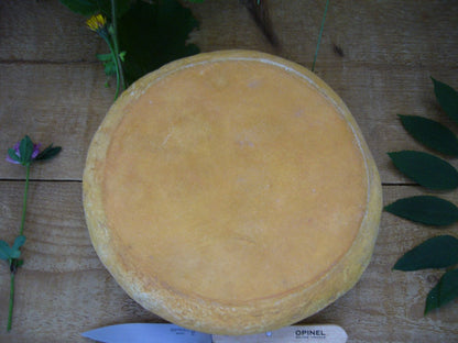 Wholesale Paccard Tamie De Savoie 3.3#- Bulk