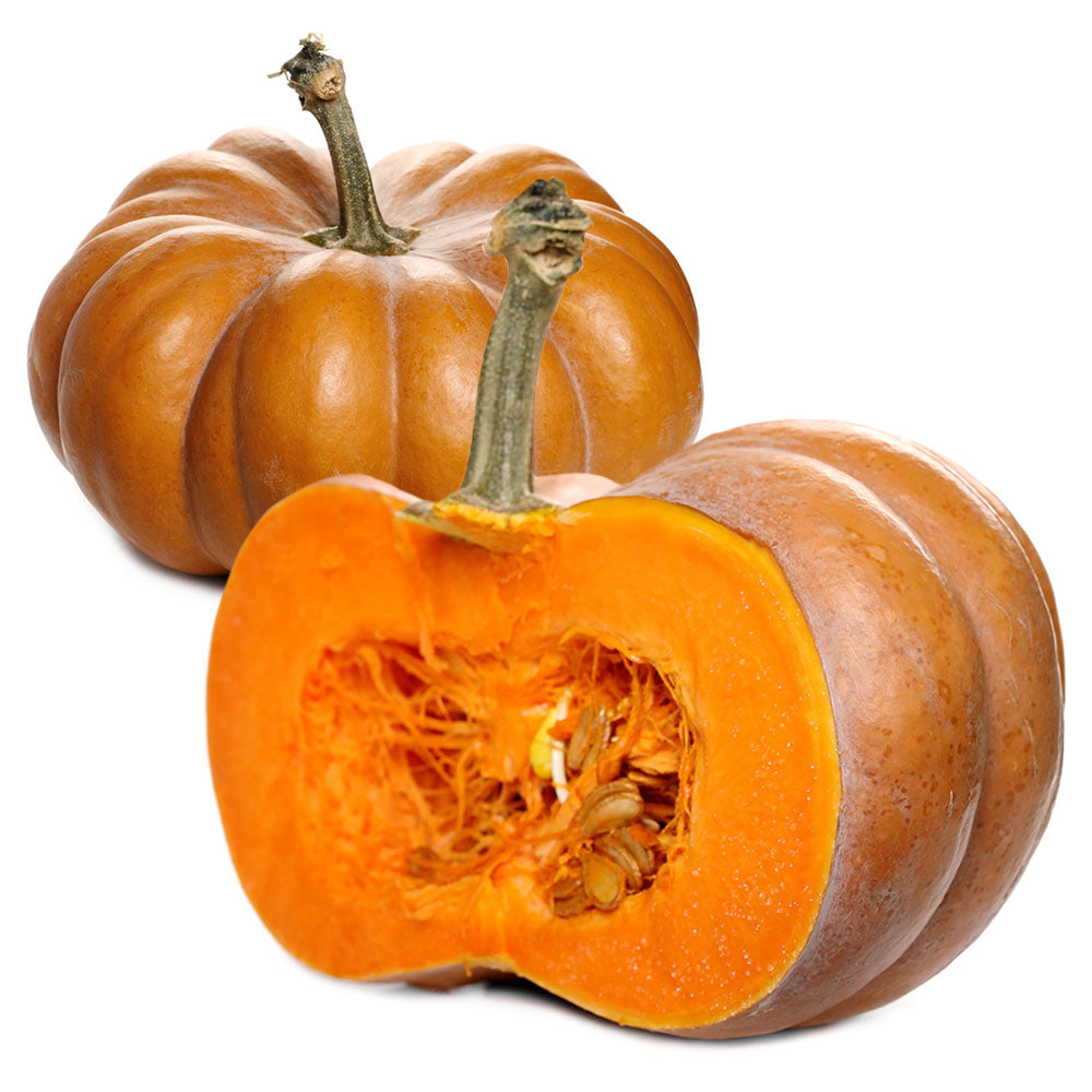 Wholesale Calabaza Squash- Bulk