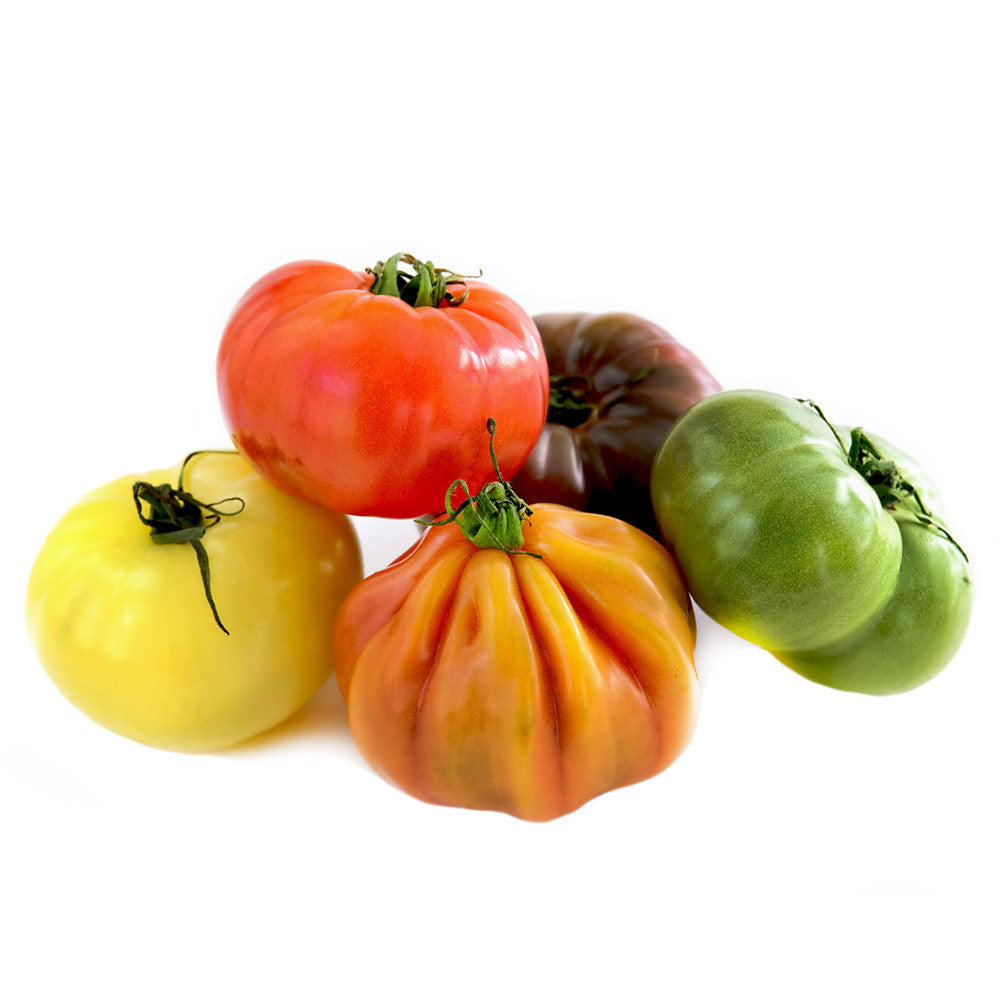 Wholesale BoxNCase Case Heirloom Tomato- Bulk