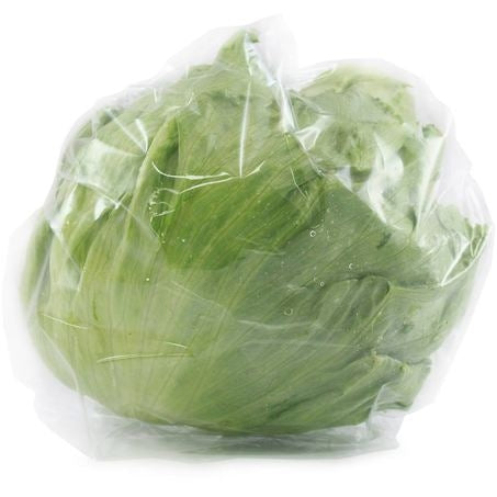 Wholesale Ocean Mist Case Cello Iceberg Lettuce- Bulk