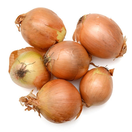 Wholesale BoxNCase Case Medium Yellow Onions- Bulk
