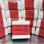 Wholesale Tulip Tree Snapdragon 8Oz- Bulk