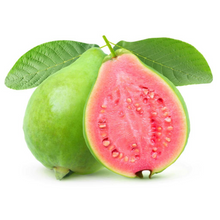 Wholesale Guava | 16 ct- Bulk