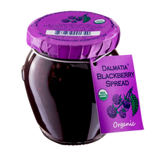 Wholesale Dalmatia Organic Blackberry- Bulk