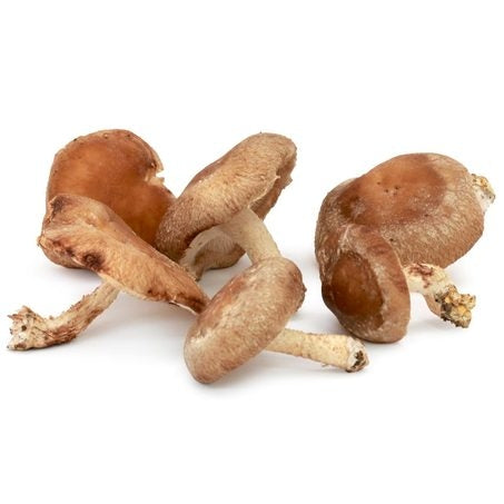 Wholesale Phillips Case Shiitake Mushroom (A)- Bulk