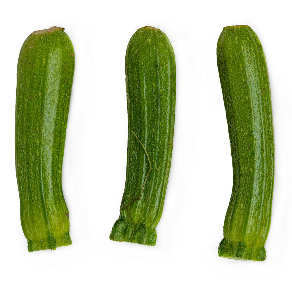 Wholesale BoxNCase Case Baby Green Squash- Bulk