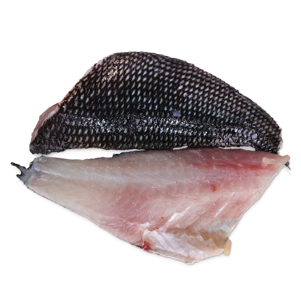 Wholesale Wild Case Black Bass Filet With Skin On Jumbo- Bulk