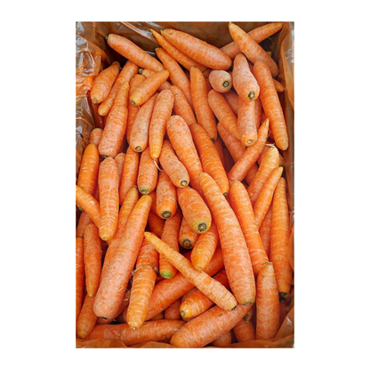 Wholesale BoxNCase Case Cello Carrots- Bulk