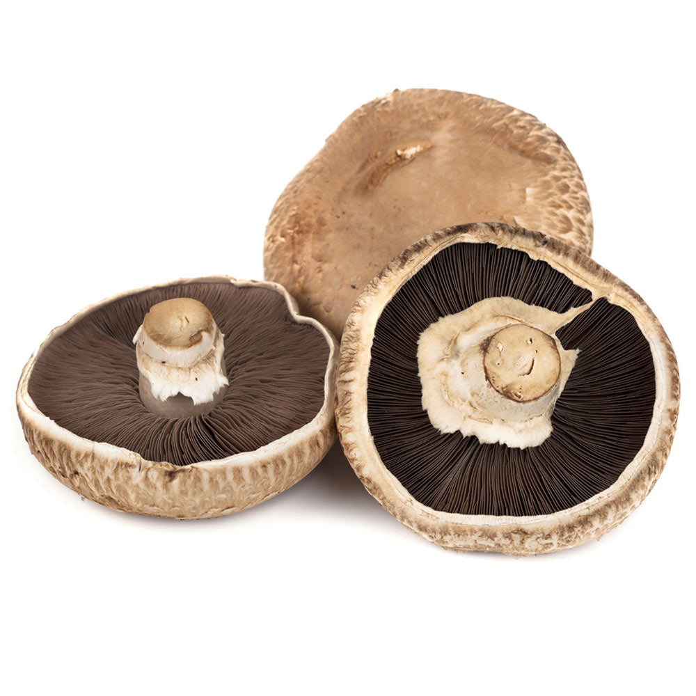 Wholesale Phillips Case 4.5In Portabello Mushroom Cap- Bulk