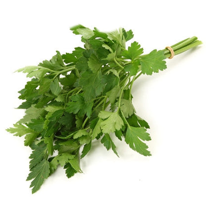 Wholesale Produce Exp Case Italian Parsley- Bulk