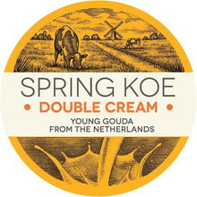Wholesale Double Cream 60% Gouda- Bulk