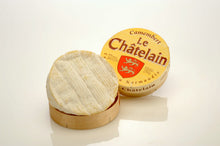 Wholesale Chatelain Camembert- Bulk