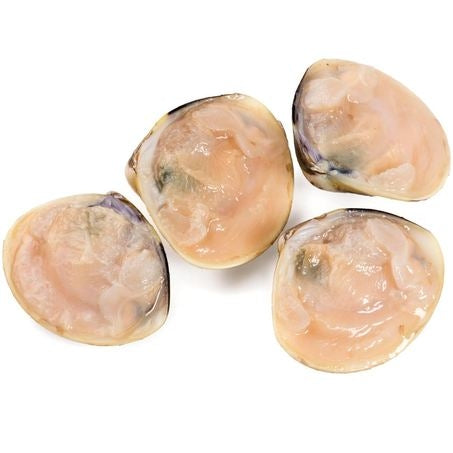 Wholesale Panapesca Case Cooked Half Shell Clams Iqf- Bulk