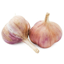 Wholesale Colossal Garlic- Bulk
