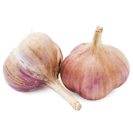 Wholesale Colossal Garlic- Bulk