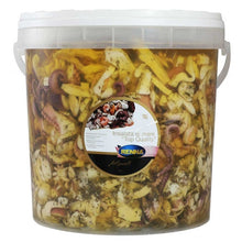 Wholesale Renna Case Seafood Salad In Sunflower Oil- Bulk
