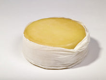 Wholesale Amarelo Beira Baixa 800 Gm- Bulk