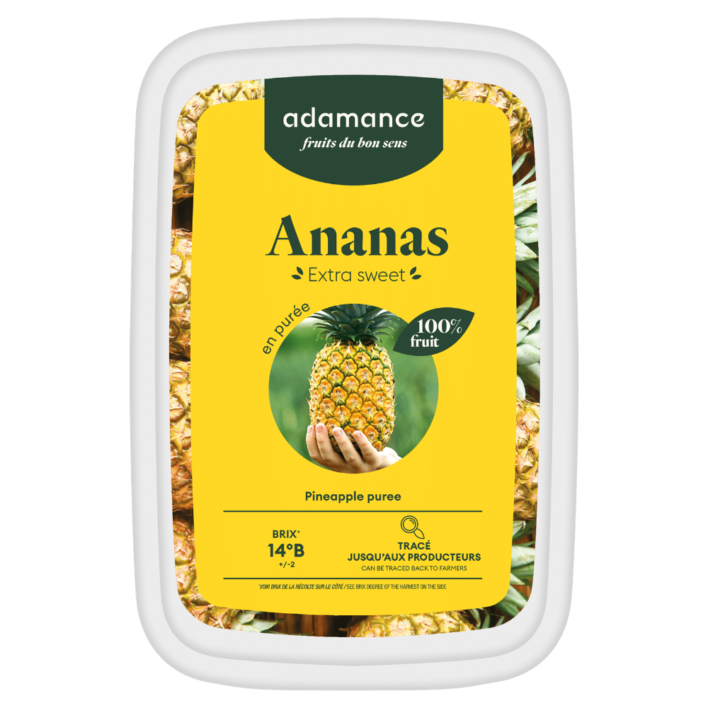 Wholesale Adamance Case Pineapple Fruit Puree- Bulk