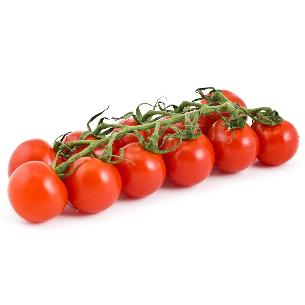 Wholesale Cherry Tomato On The Vine- Bulk