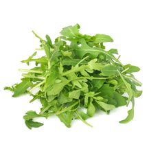 Wholesale Earthbound Case Baby Arugula- Bulk