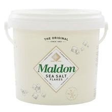 Wholesale Maldon Case Sea Salt Flakes- Bulk