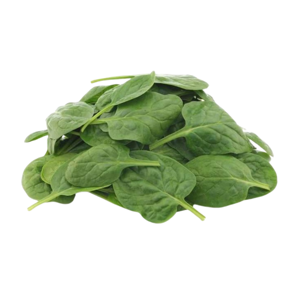 Wholesale Popeye Case Canned Leaf Spinach- Bulk