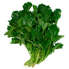 Wholesale L&M Case Green Turnips- Bulk