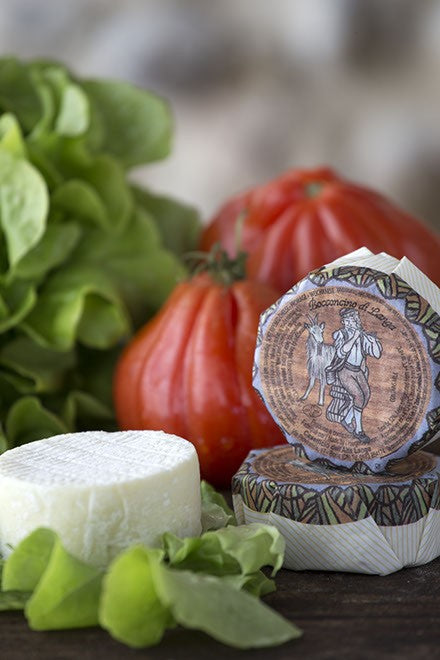 Wholesale Langa Bocconcino Goat- Bulk
