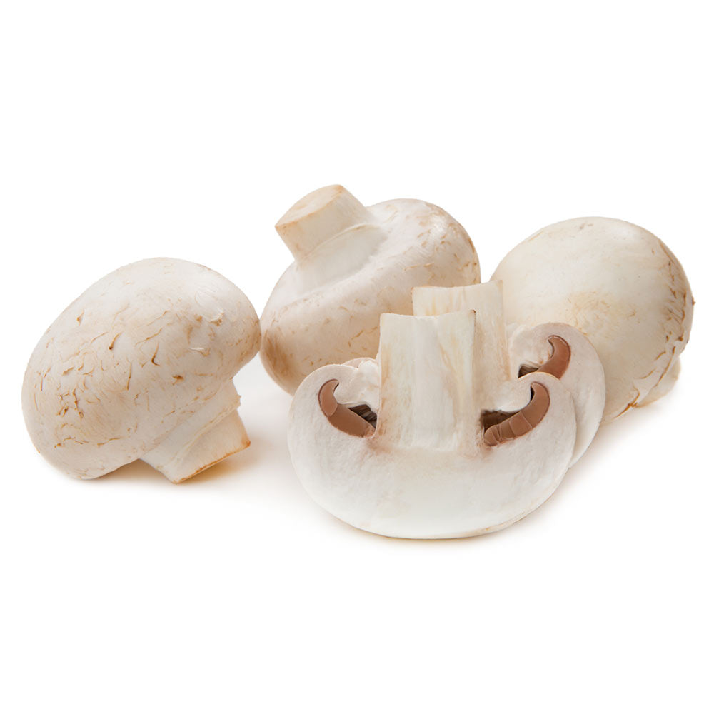Wholesale Phillips Case Food Service Mushroom- Bulk