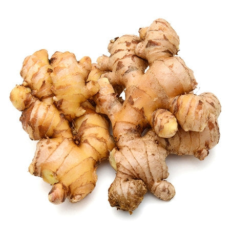 Wholesale Fresh Ginger- Bulk