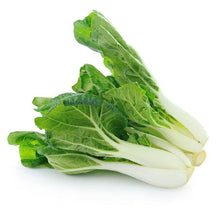 Wholesale BoxNCase Case Bok Choy- Bulk