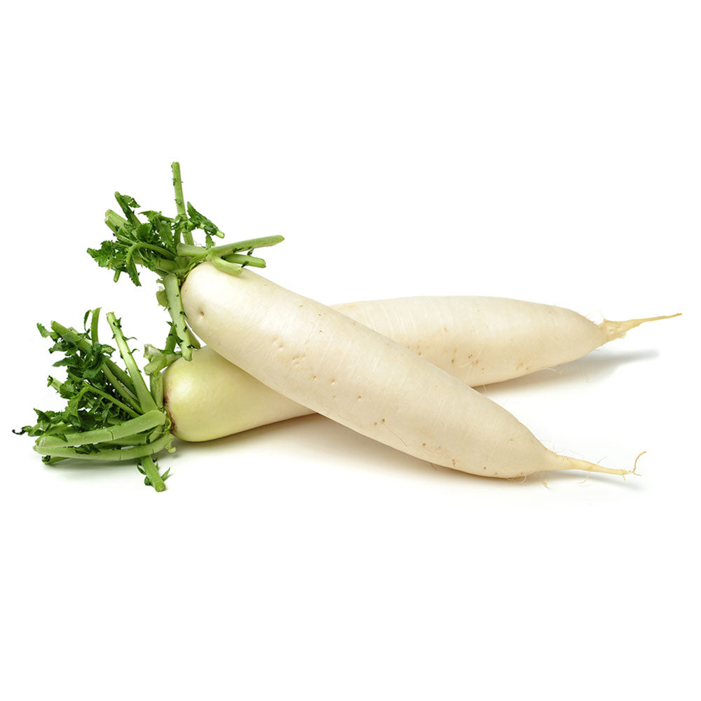 Wholesale BoxNCase Case Daikon Radish- Bulk