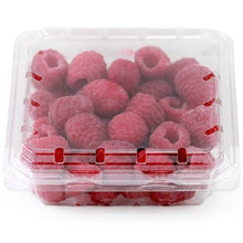 Wholesale Driscoll Case Raspberries- Bulk