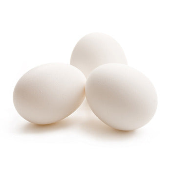 Wholesale Sauder's Eggs Large Eggs- Bulk