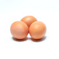 Wholesale Sauder's Eggs Cage Free Large Grade a Brown Eggs- Bulk